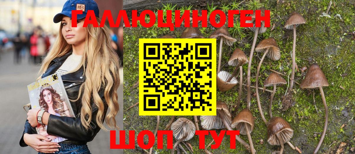 Псилоцибиновые грибы мухоморы Камень-на-Оби