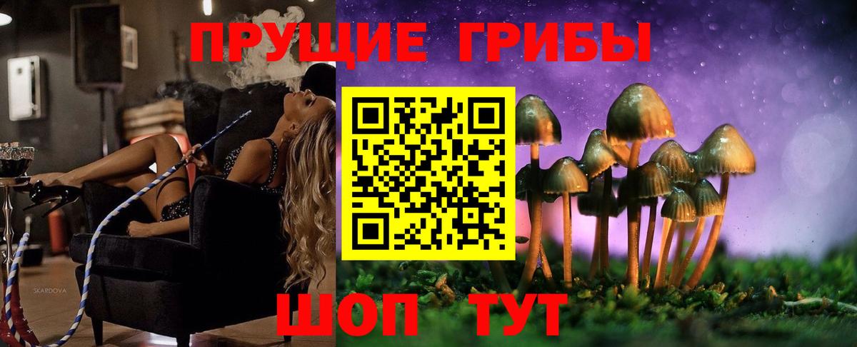 Псилоцибиновые грибы ЛСД  Псилоцибиновые грибы мухоморы  Вход с VPN  Камень-на-Оби 